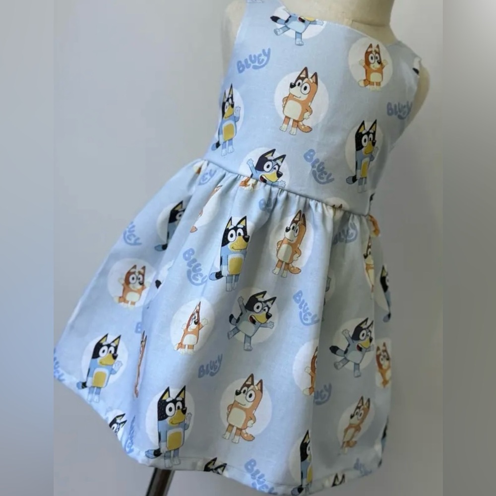 Cute Bluey Birthday Dress (18-24m) size